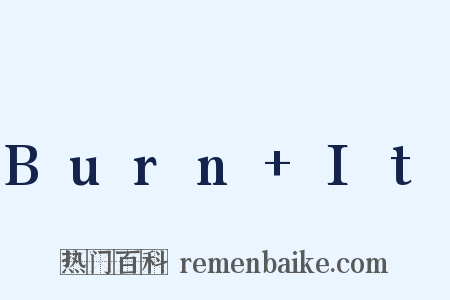 Burn+It是什么意思的图片